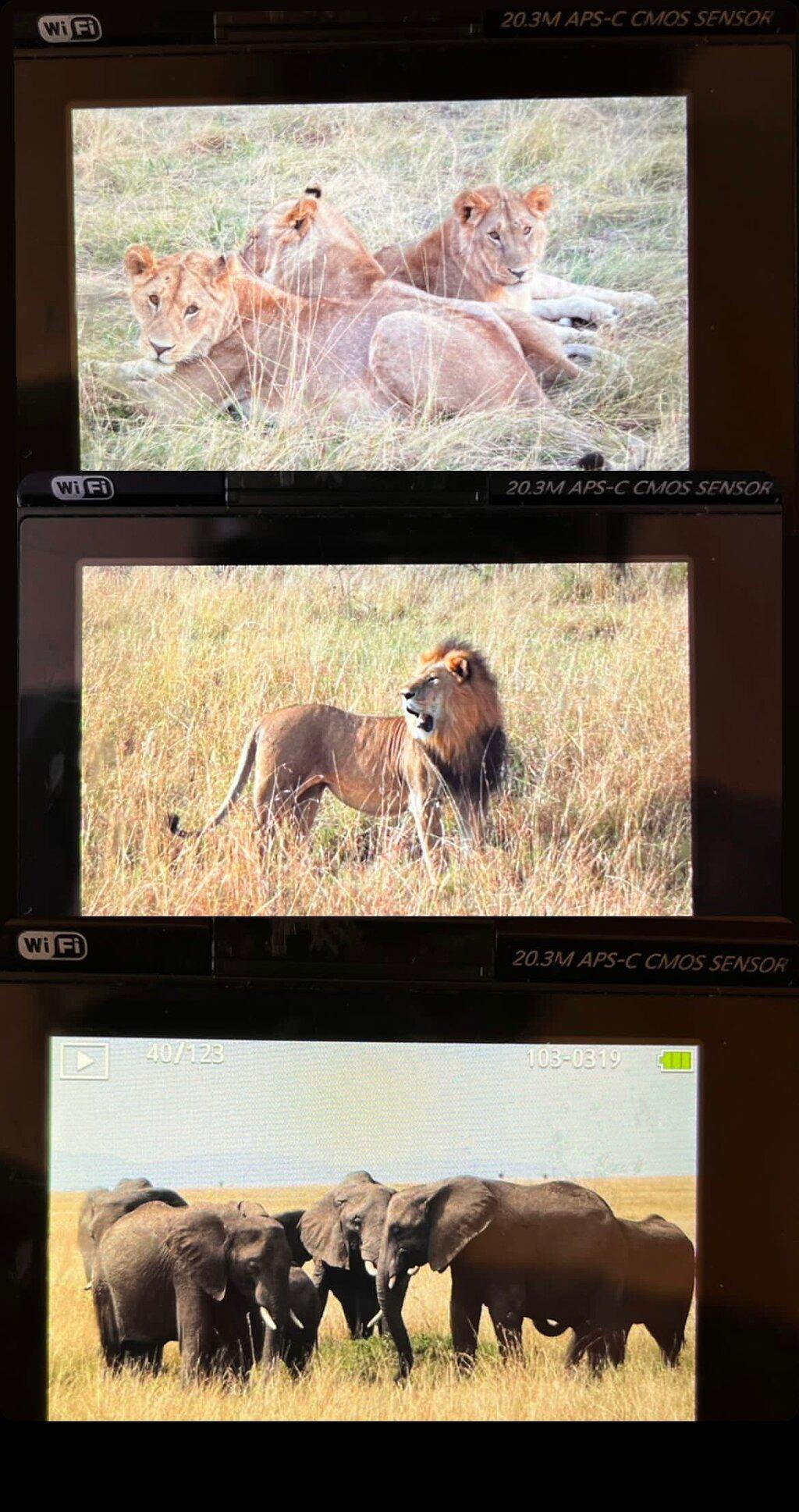Review photo