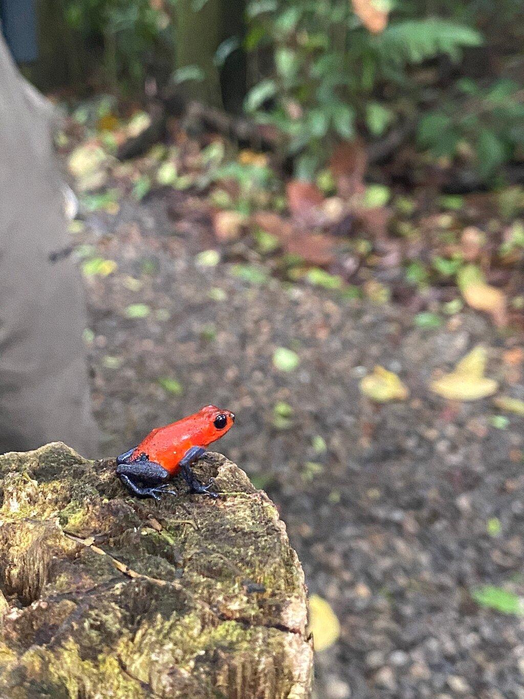 Review photo