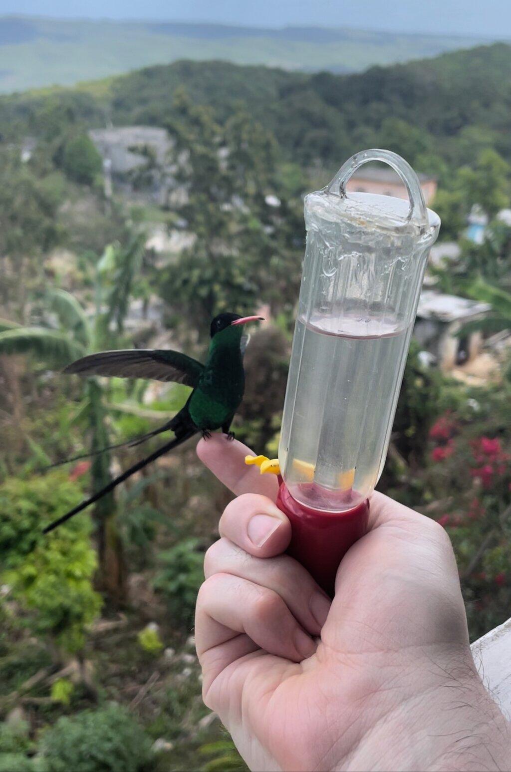 Review photo