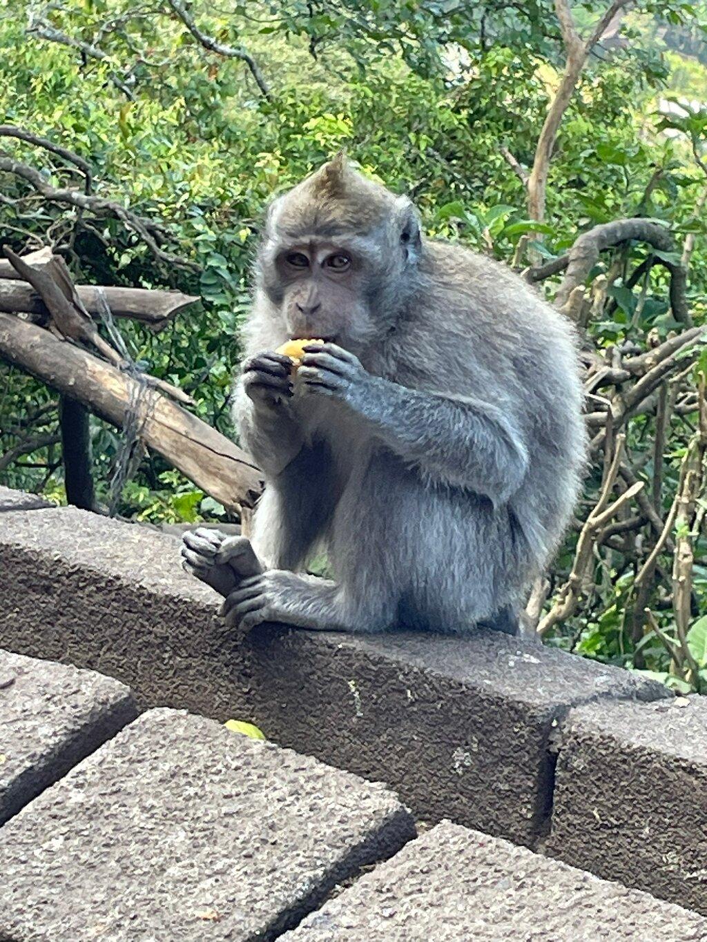 Review photo