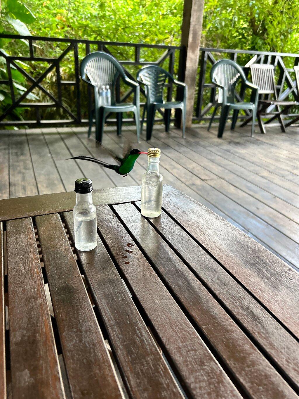 Review photo