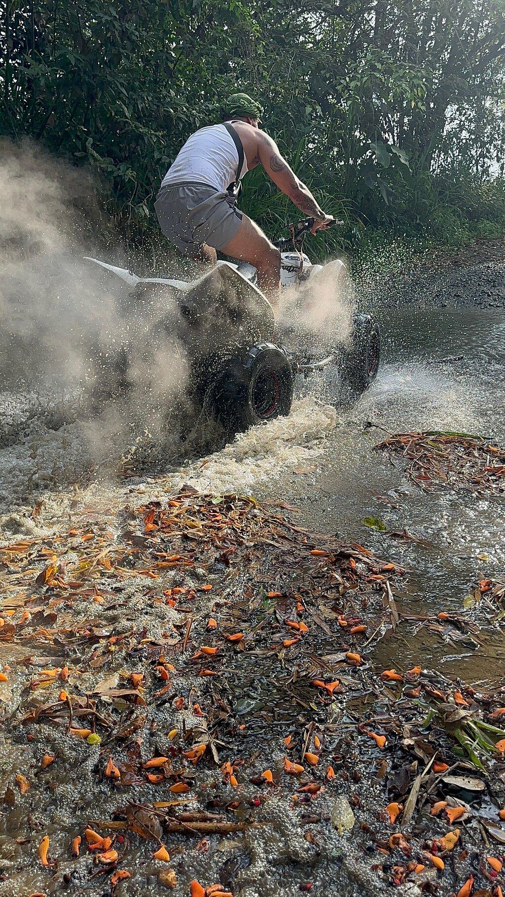 Review photo