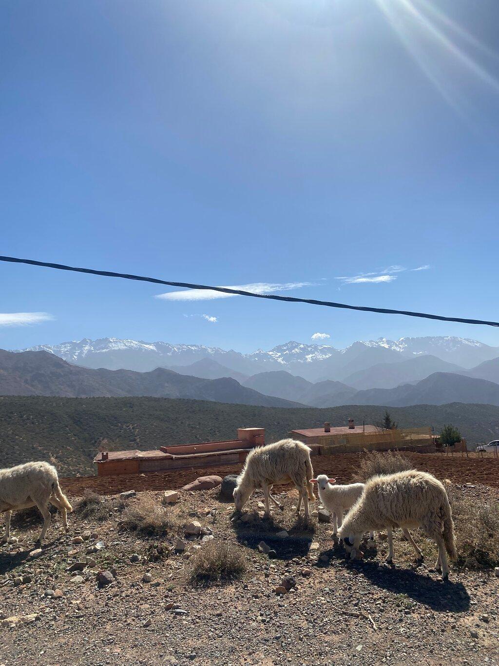 Review photo