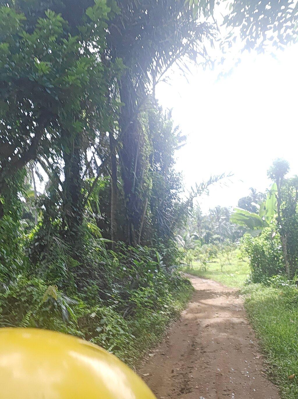 Review photo