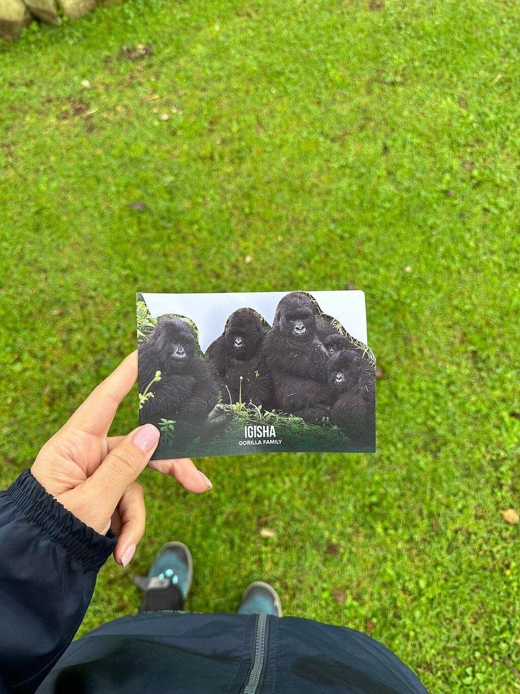 Review photo