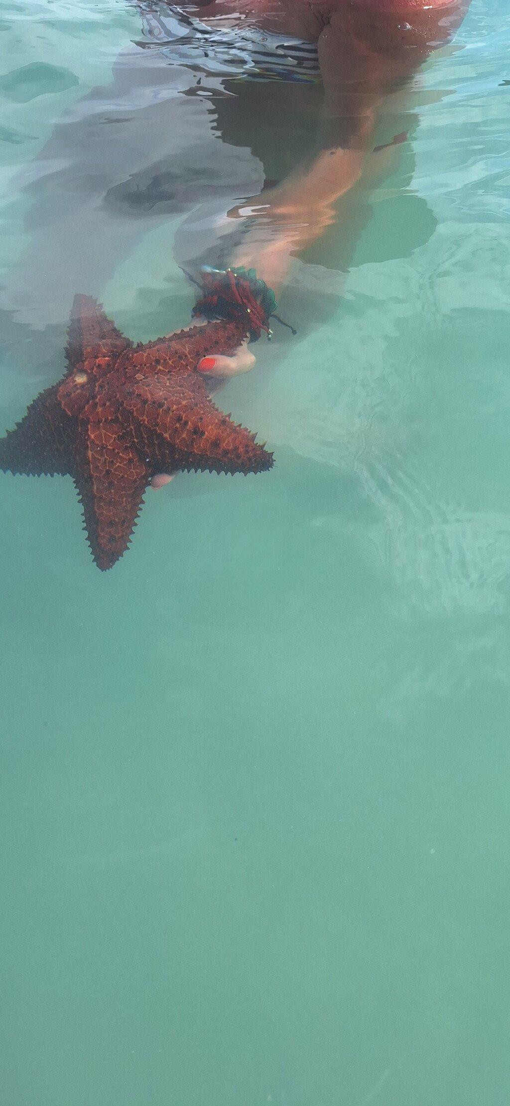 Review photo