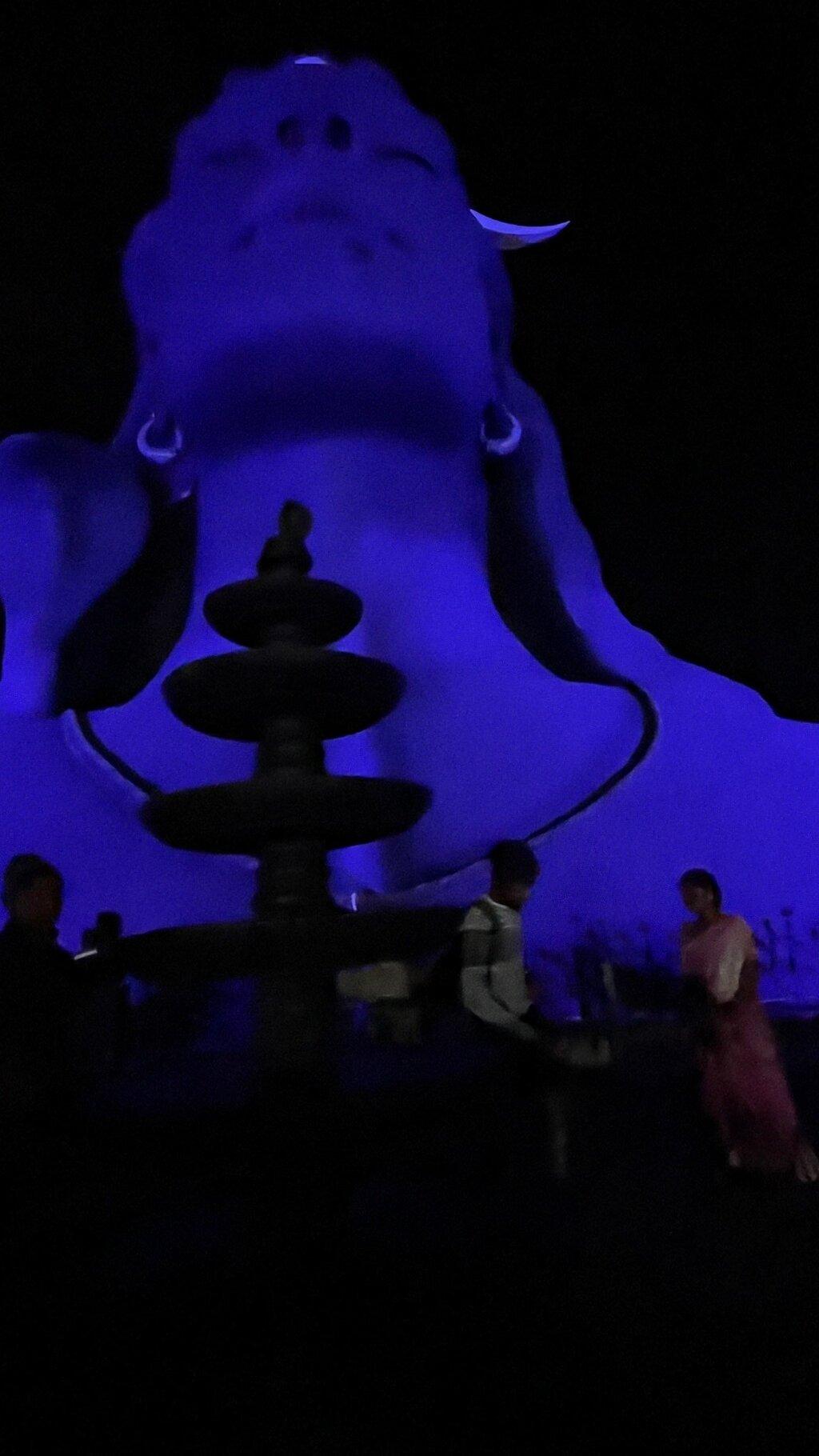 Review photo