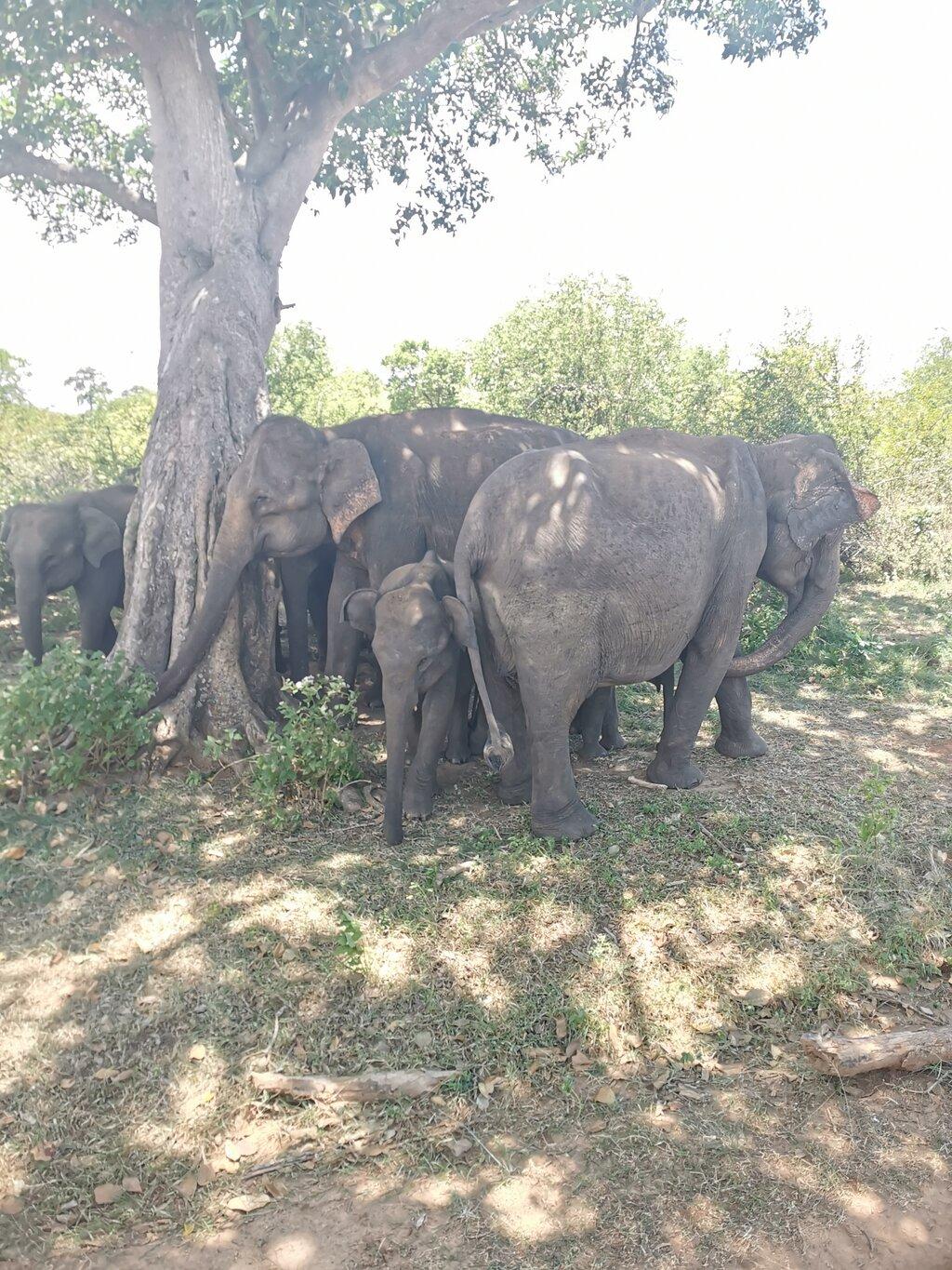 Review photo