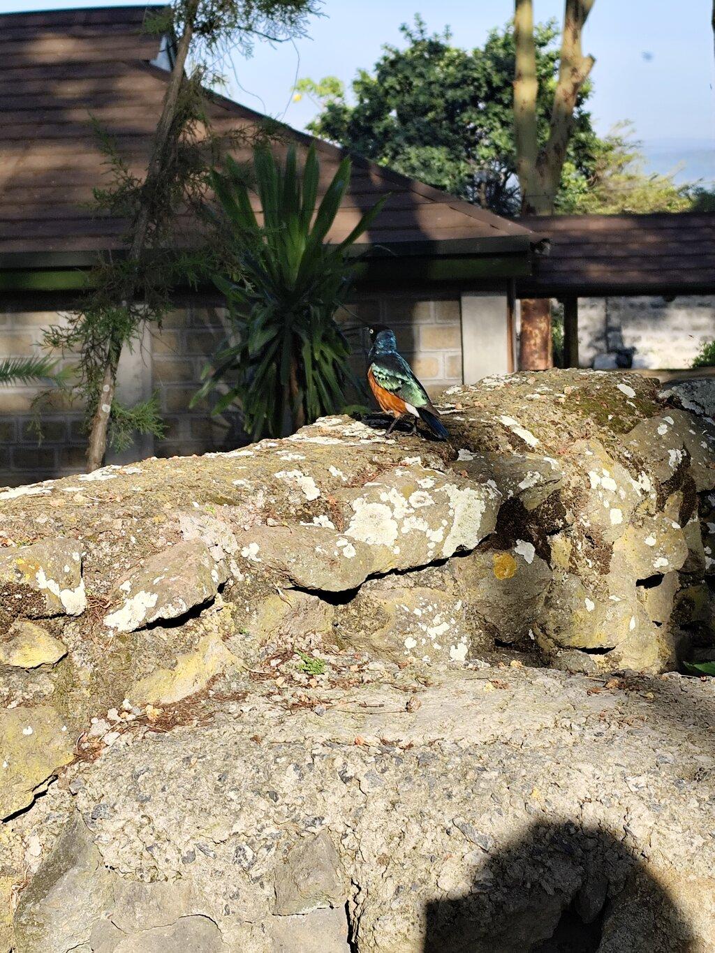 Review photo