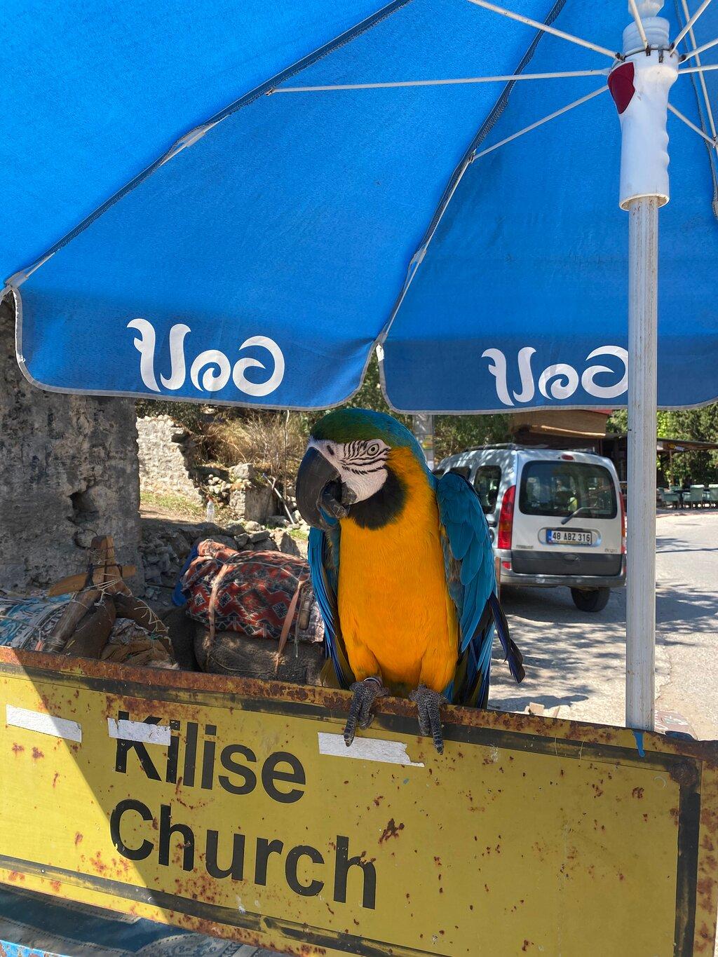 Review photo