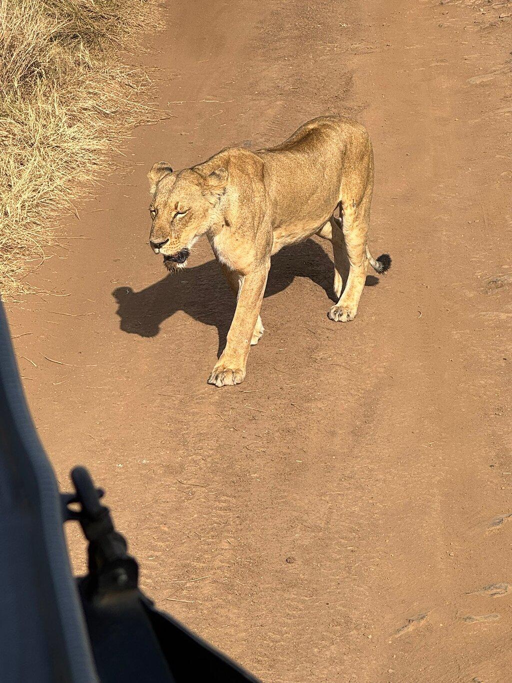 Review photo