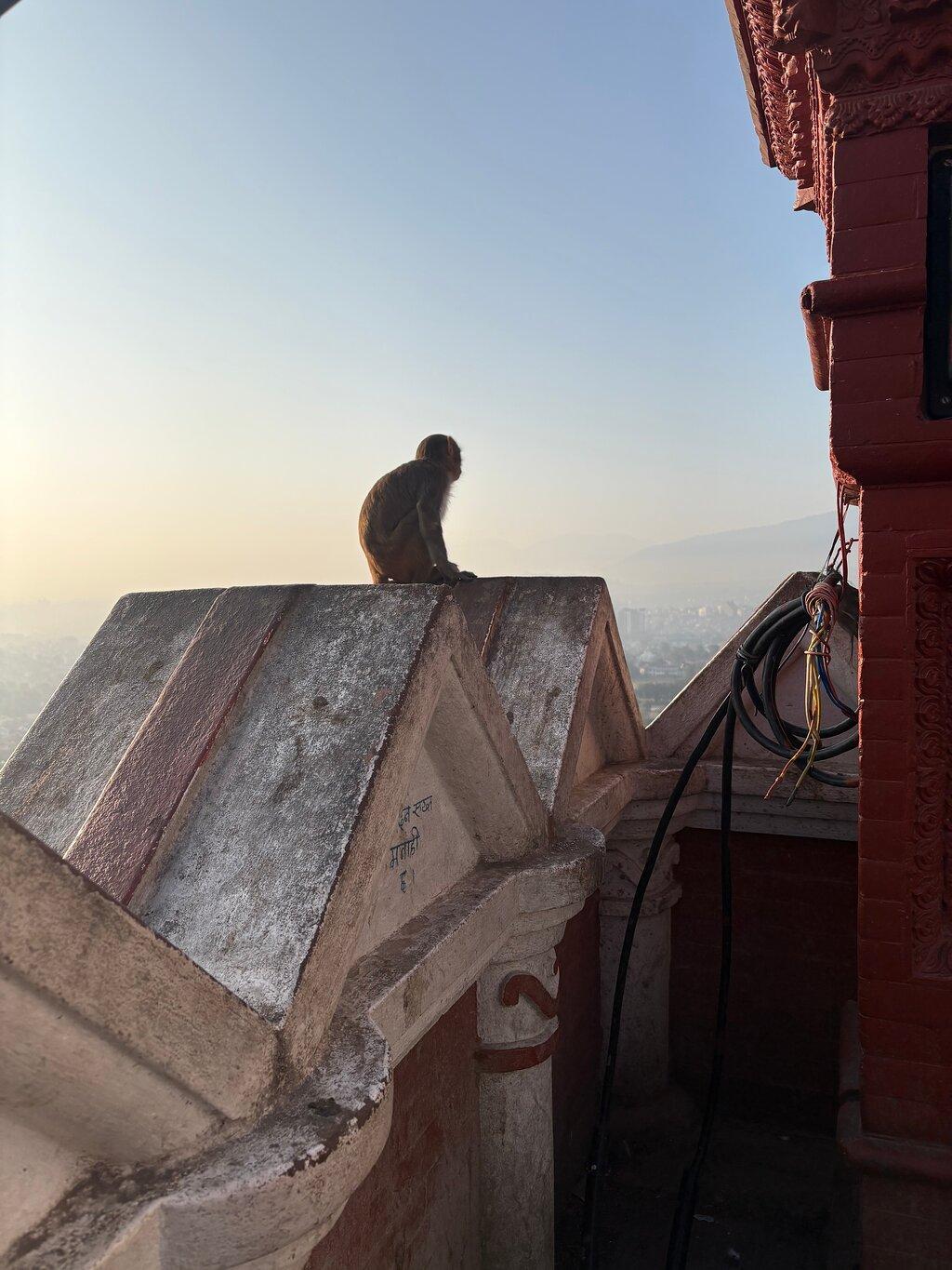 Review photo