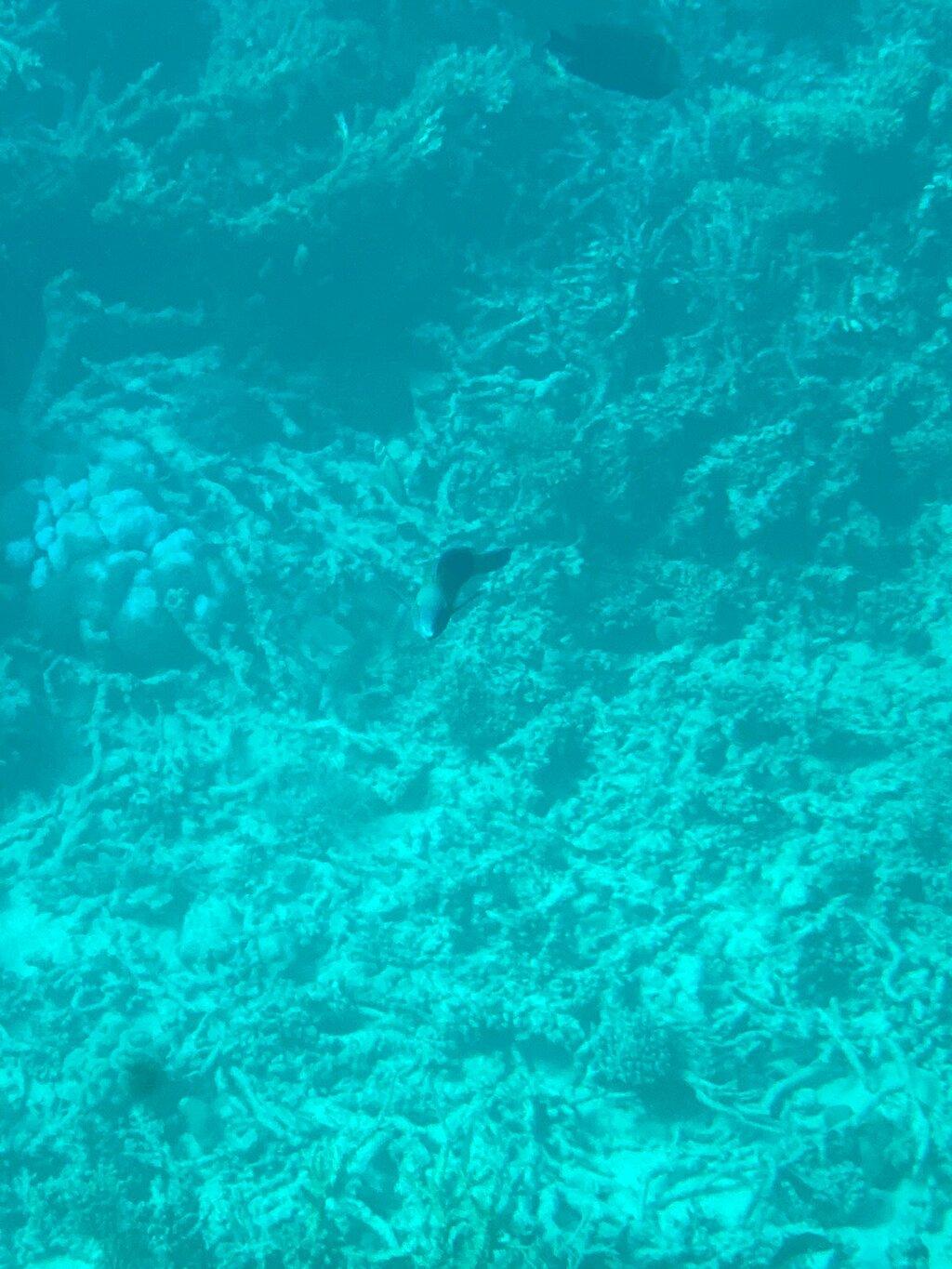 Review photo