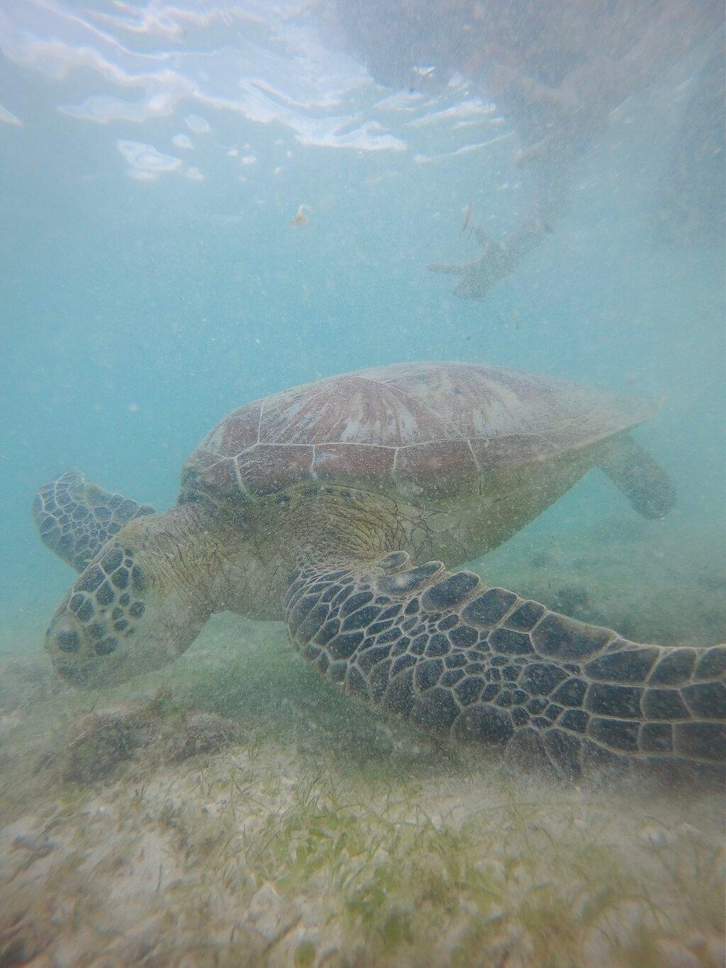Review photo