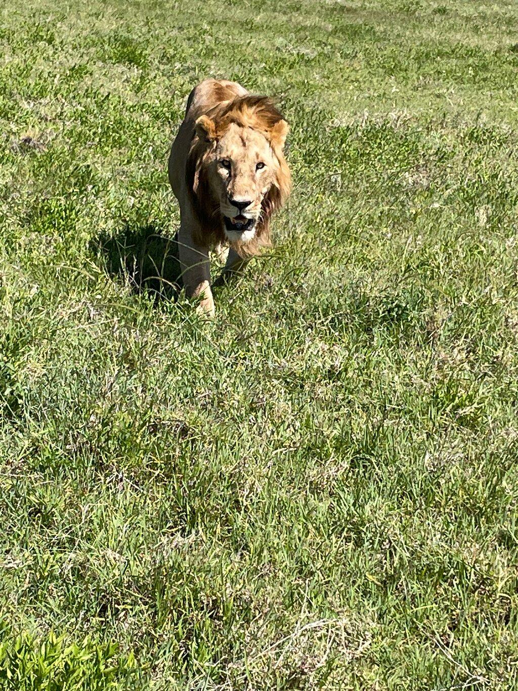 Review photo