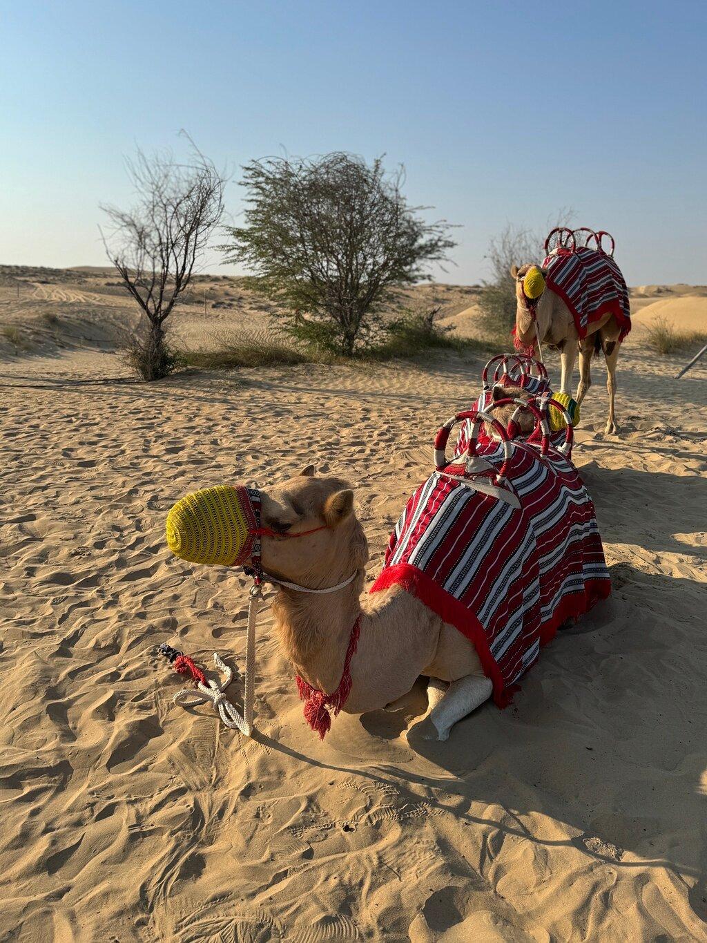 Review photo