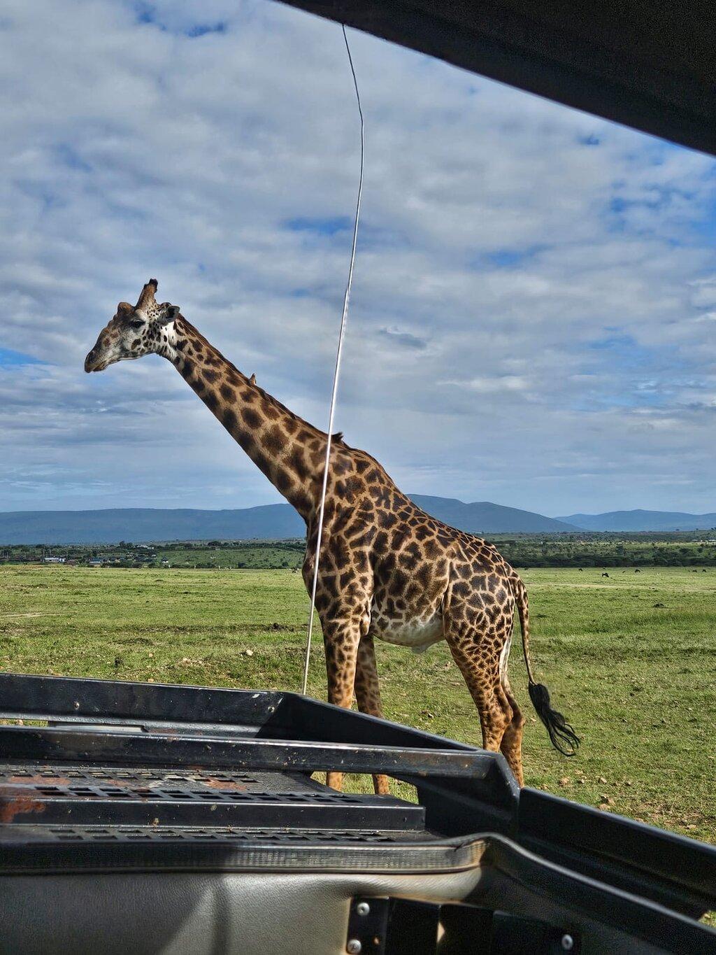 Review photo