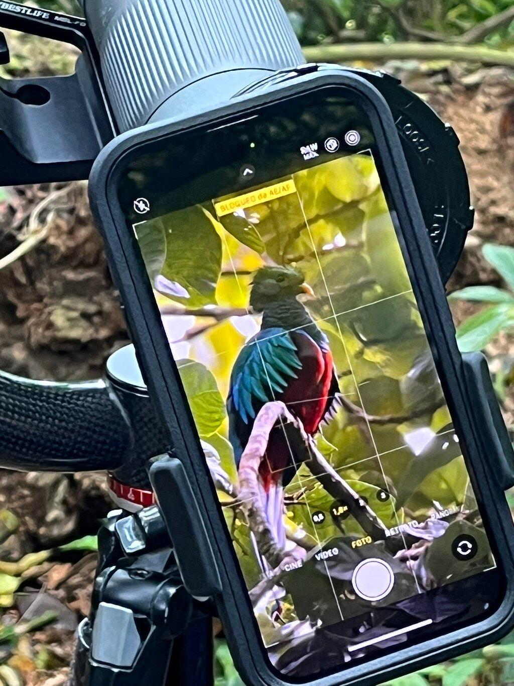 Review photo
