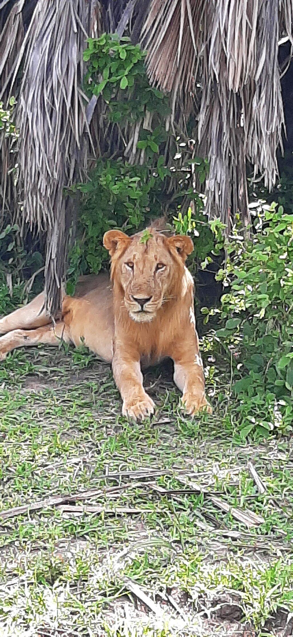 Review photo