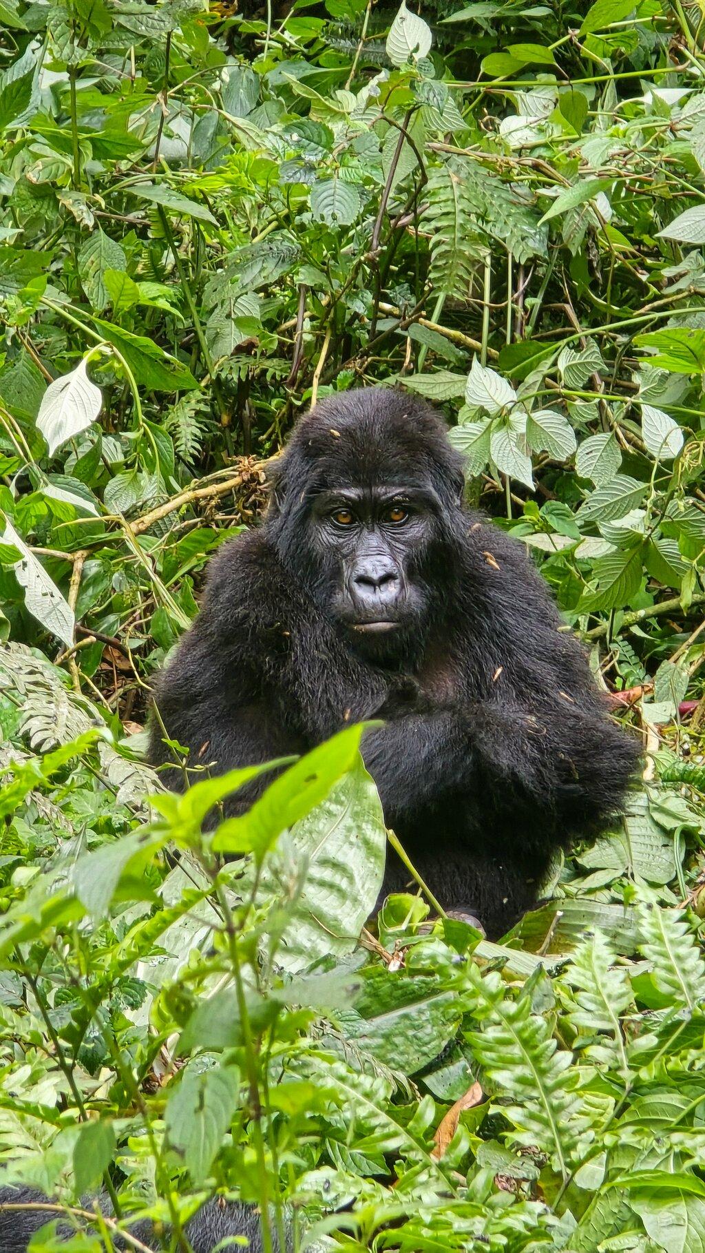 Review photo