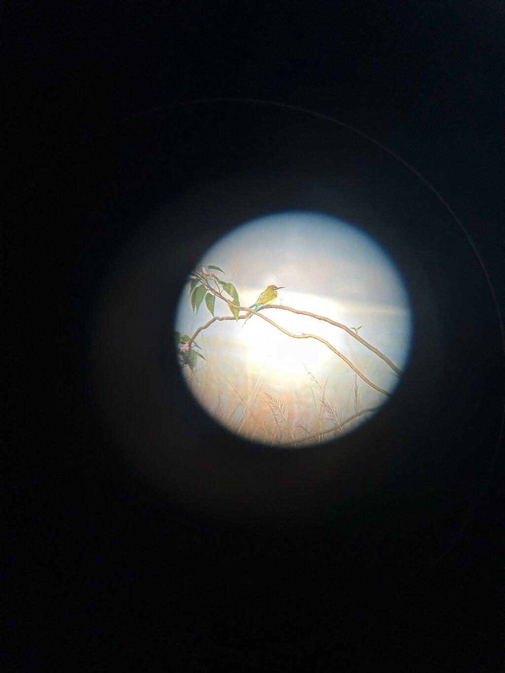 Review photo