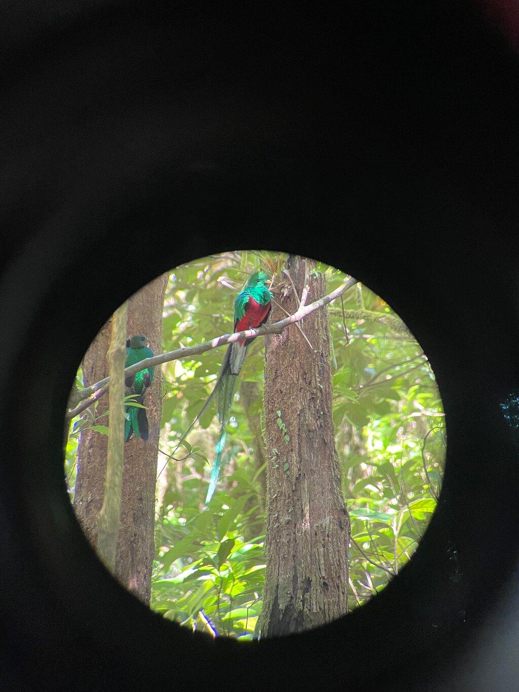 Review photo