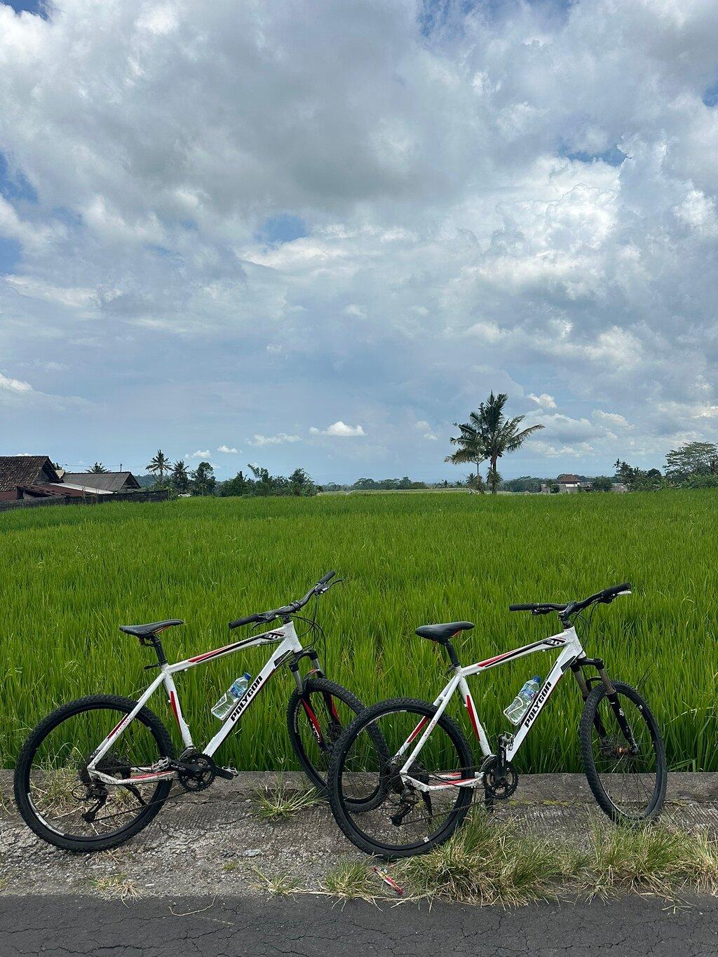 Review photo