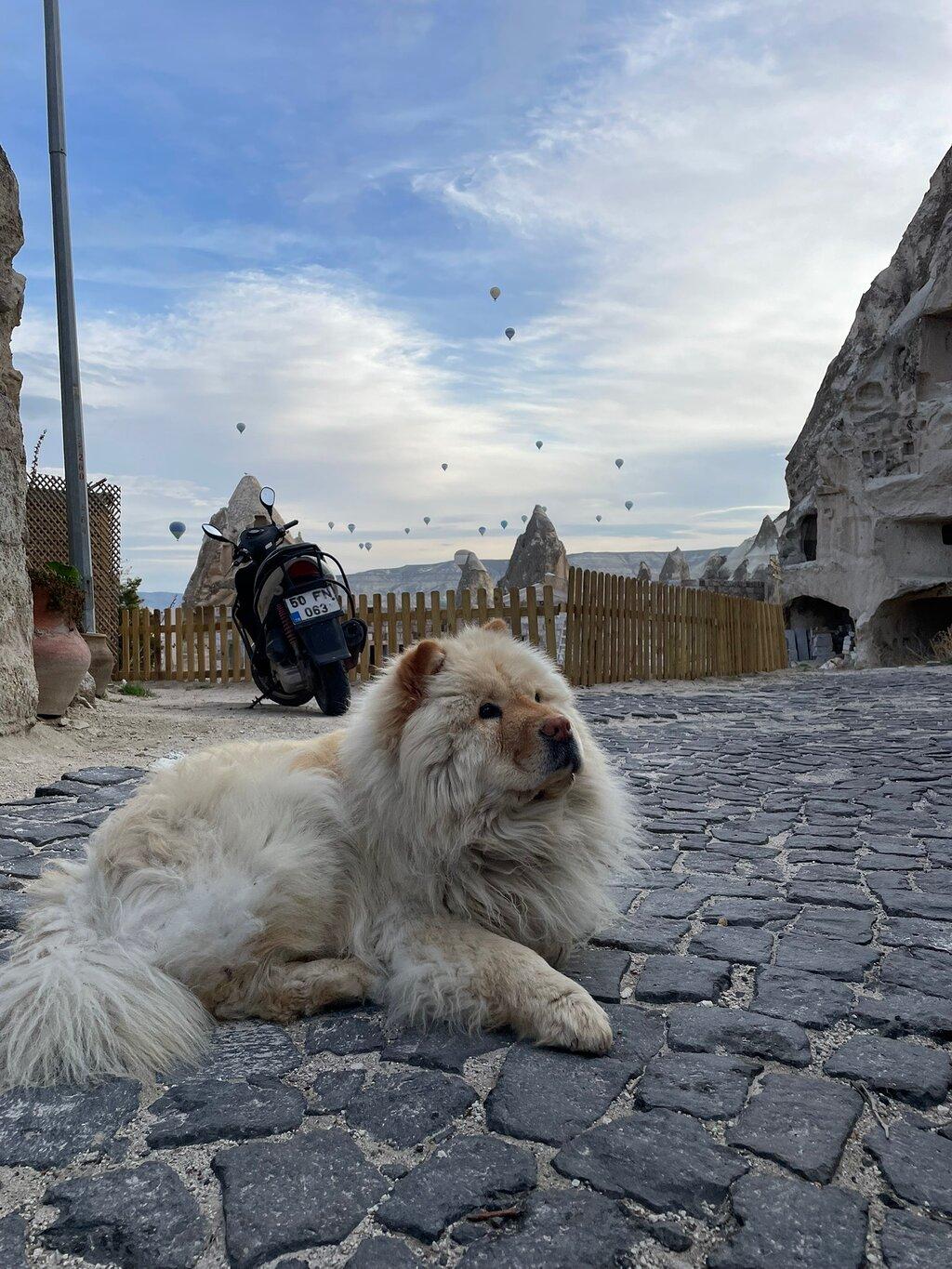 Review photo