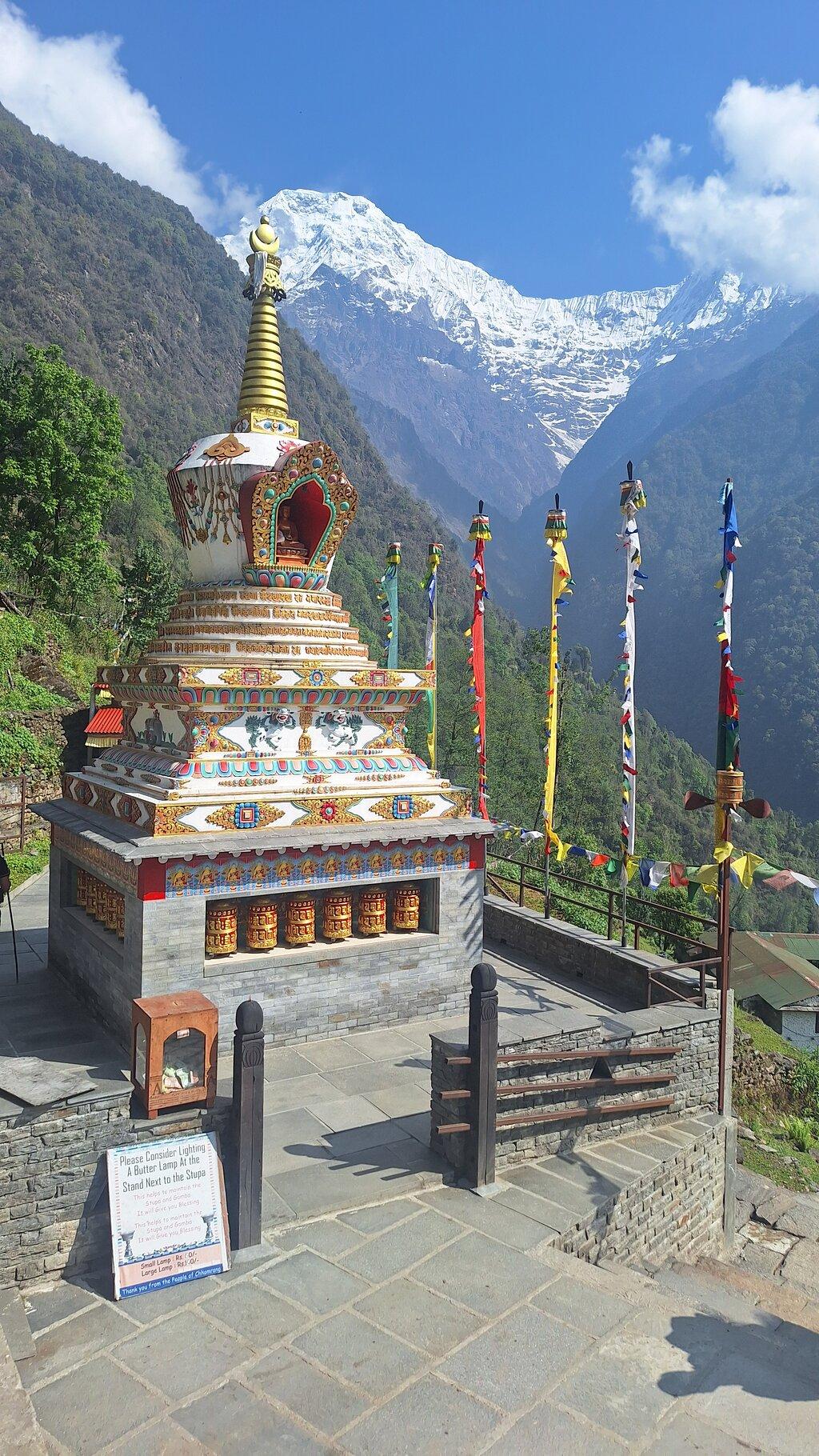 Review photo