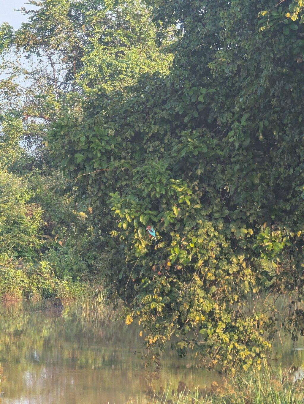 Review photo