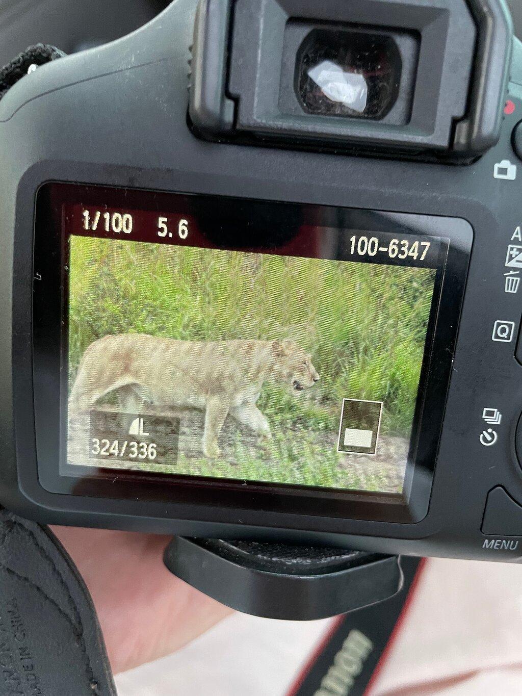 Review photo