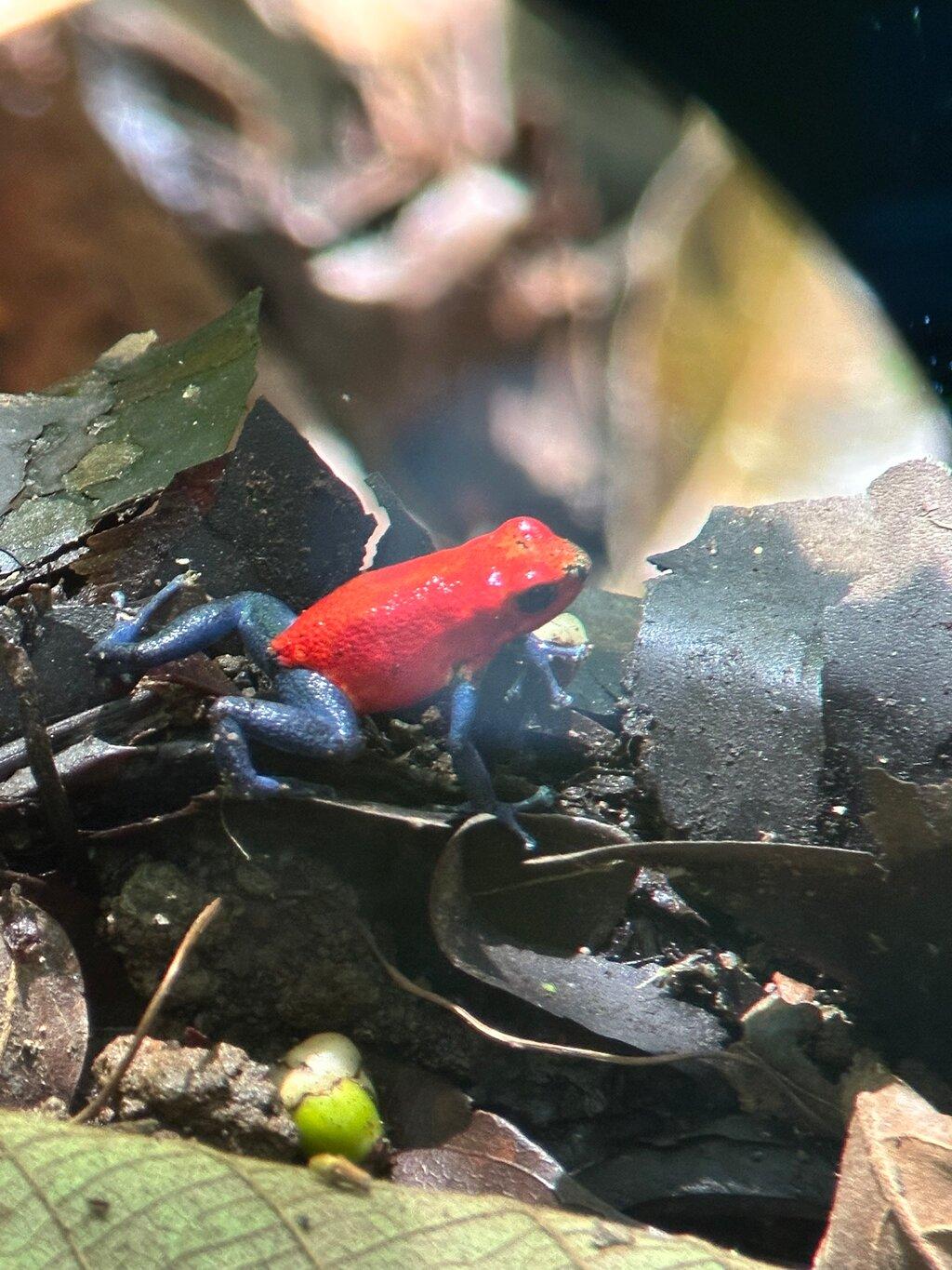 Review photo
