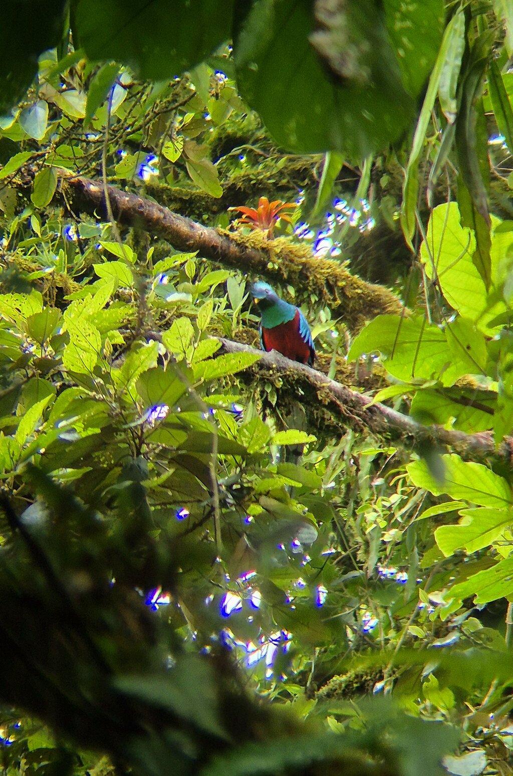 Review photo