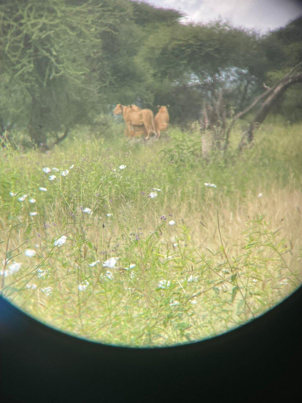 Review photo