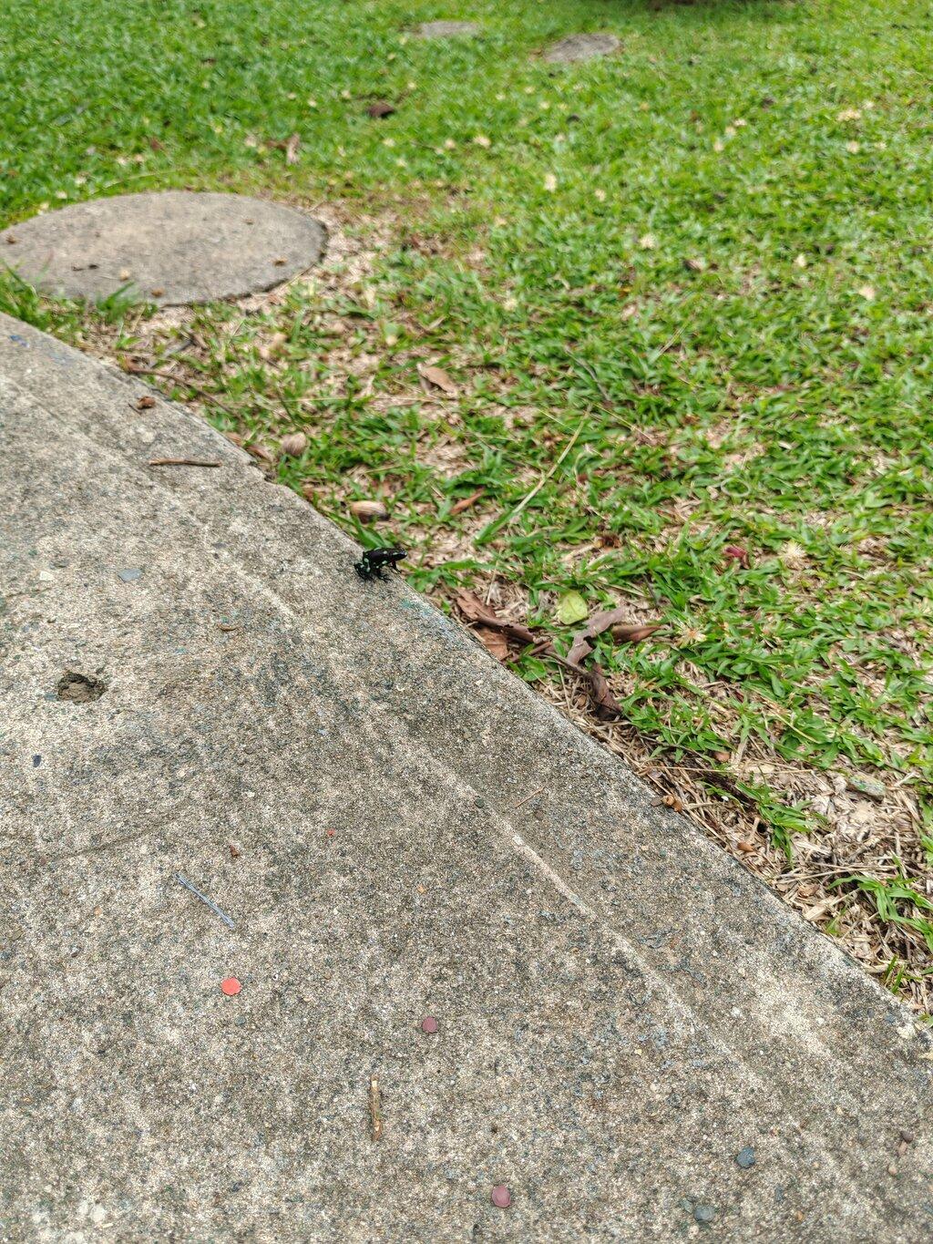 Review photo