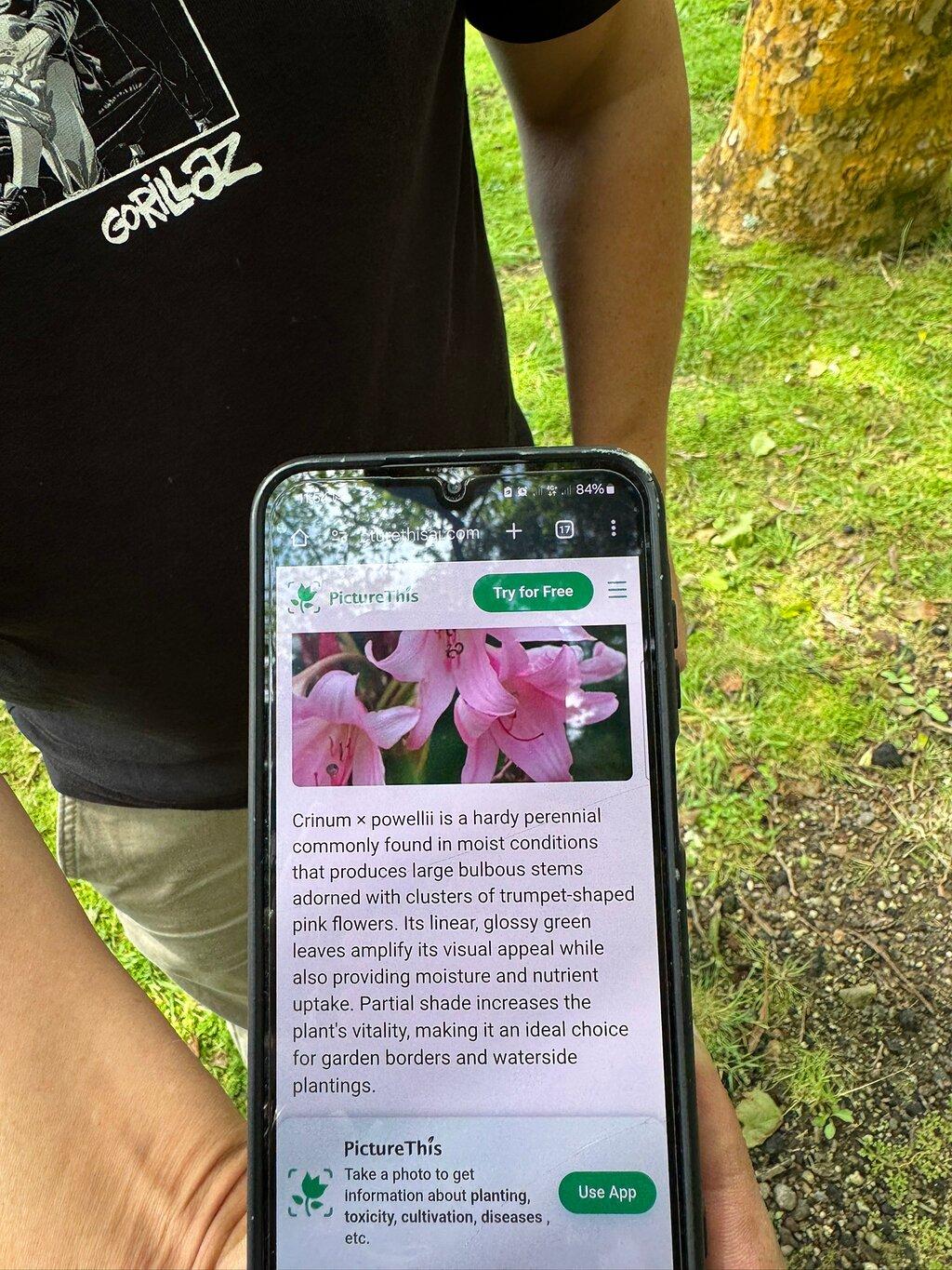Review photo