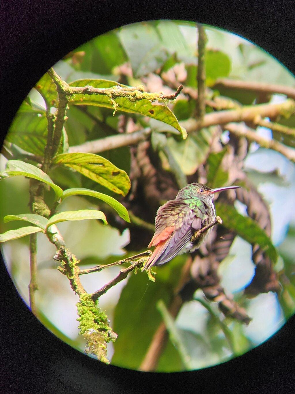Review photo