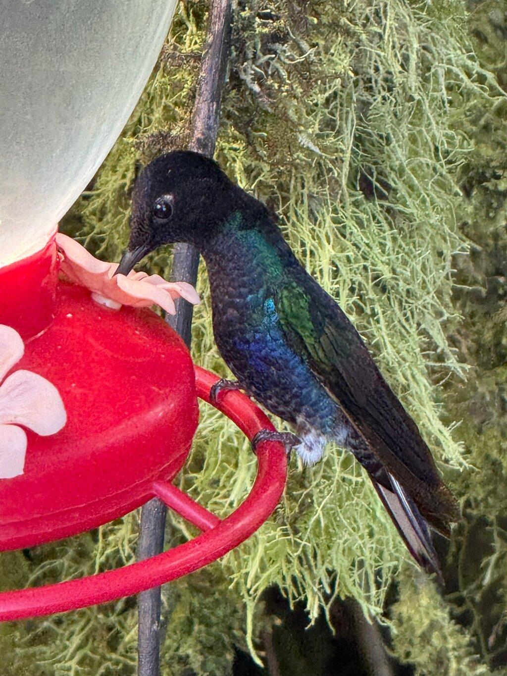 Review photo