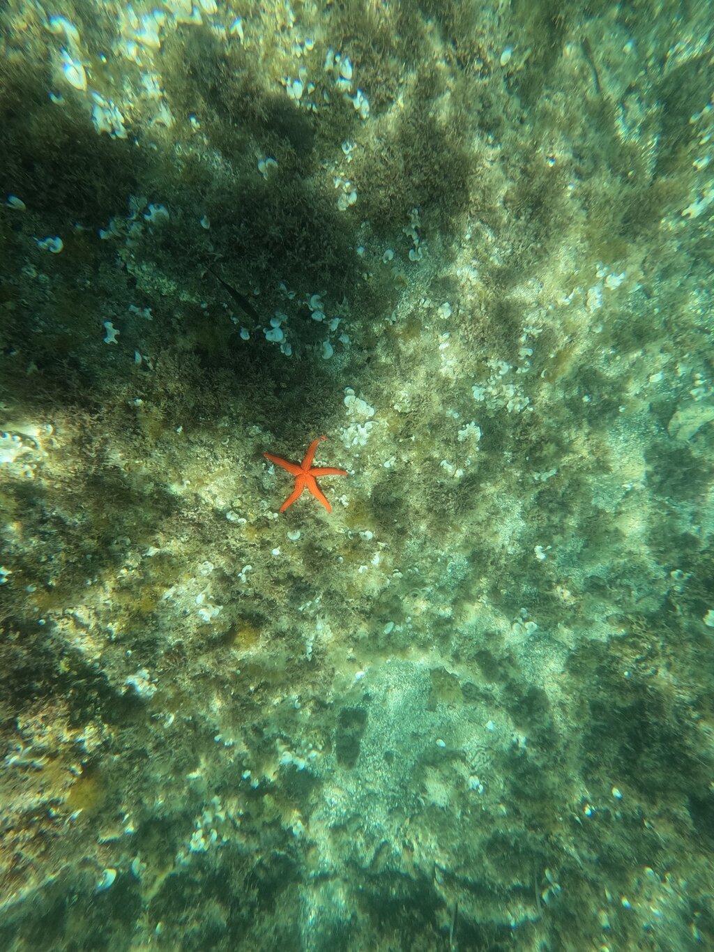 Review photo