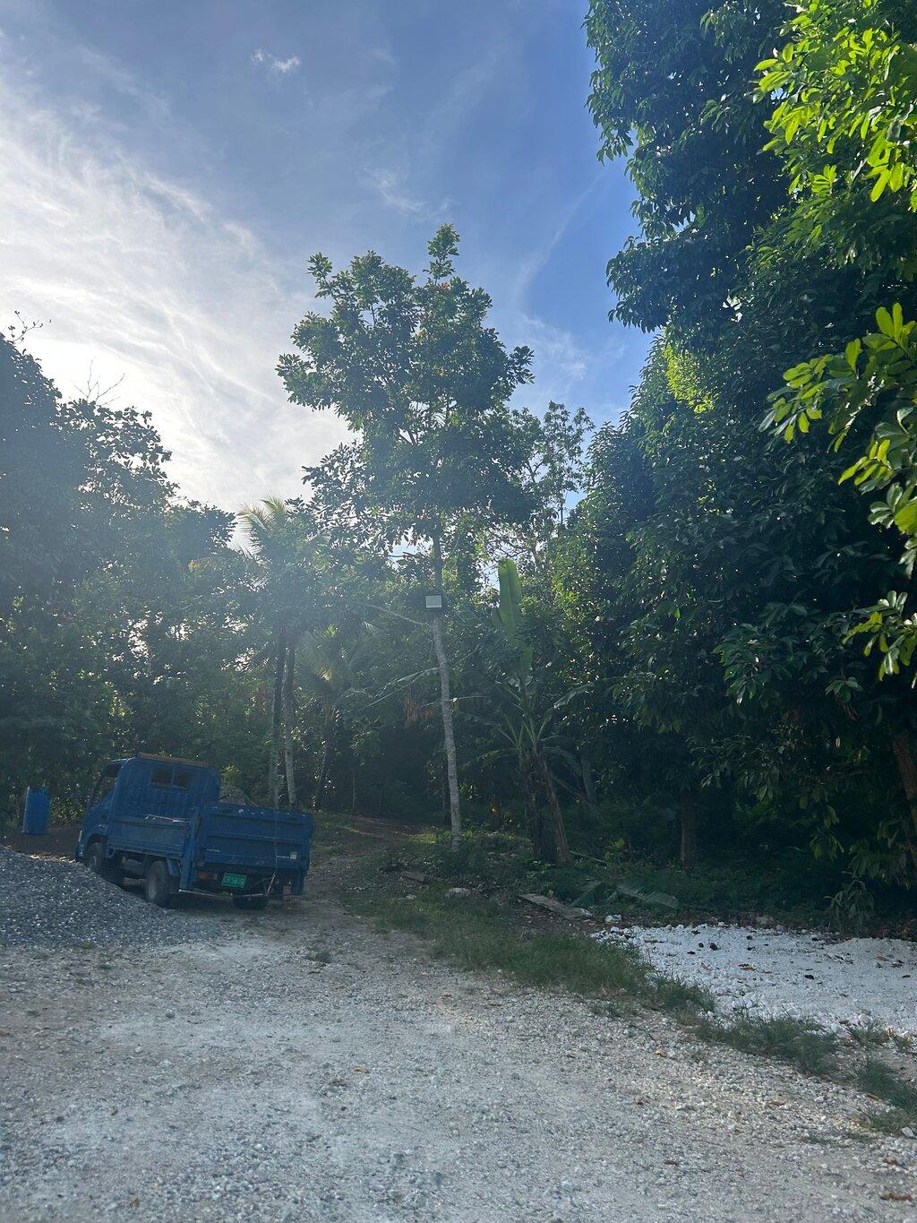 Review photo