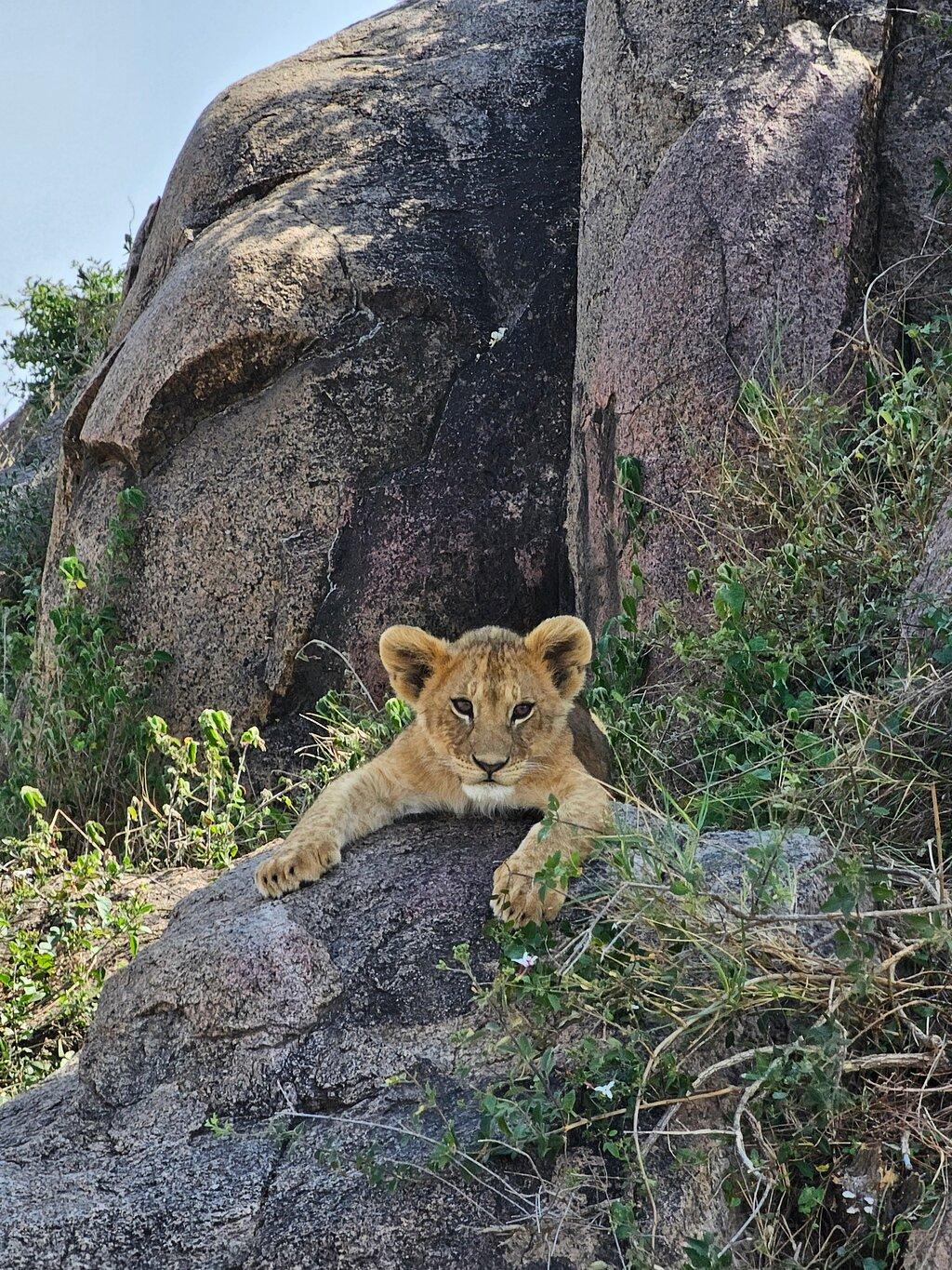 Review photo