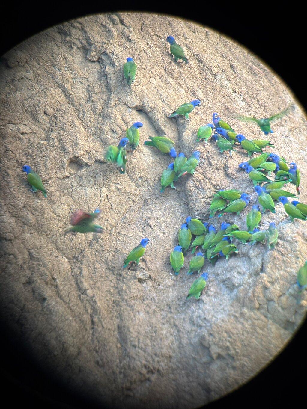 Review photo
