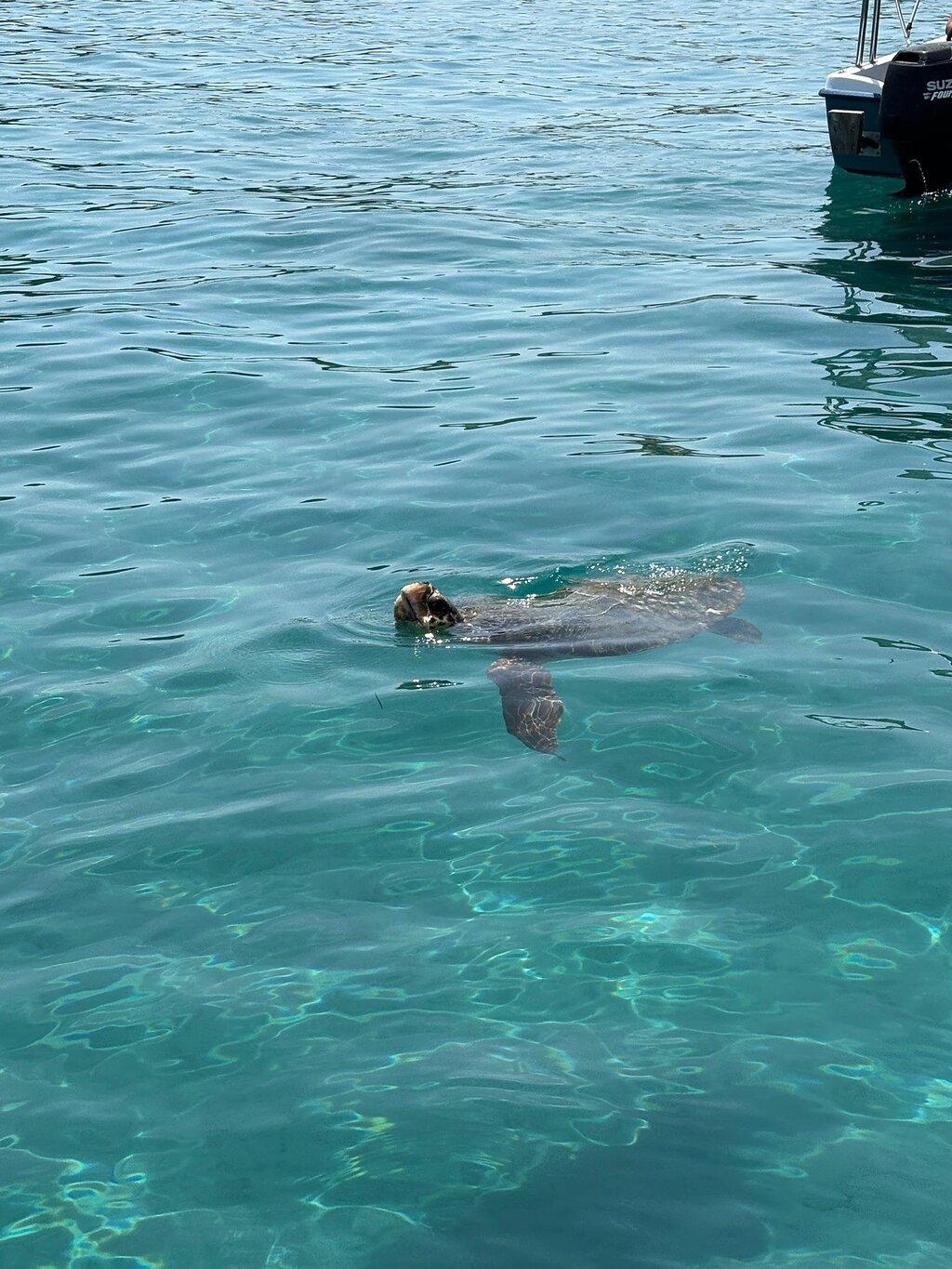 Review photo
