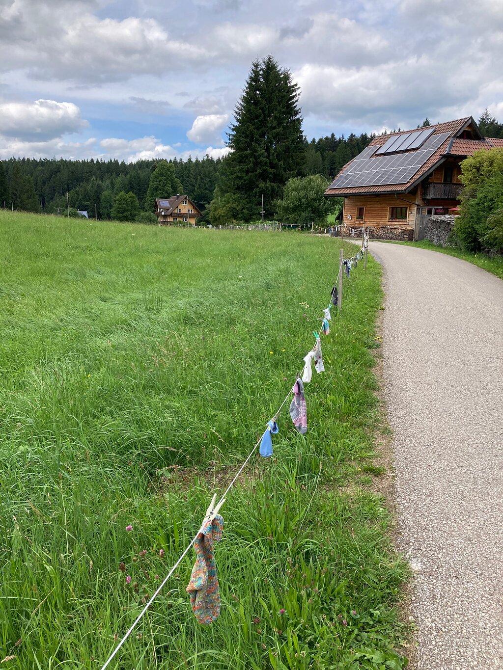 Review photo