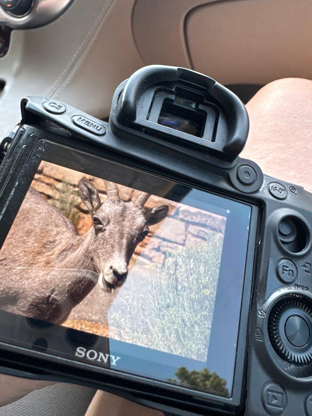 Review photo
