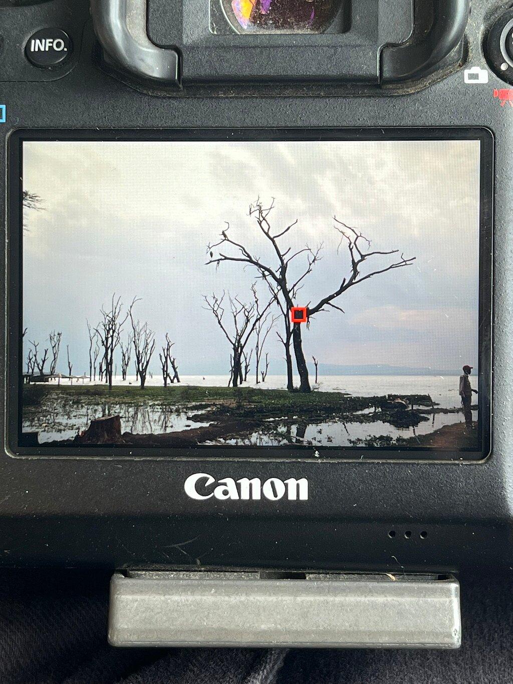 Review photo