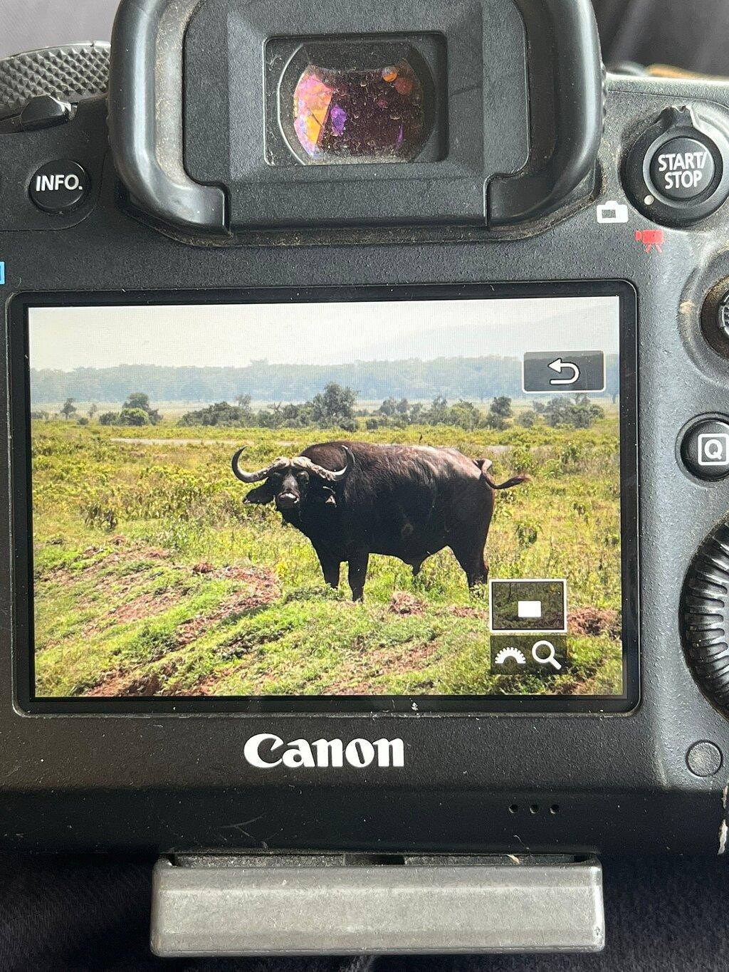 Review photo