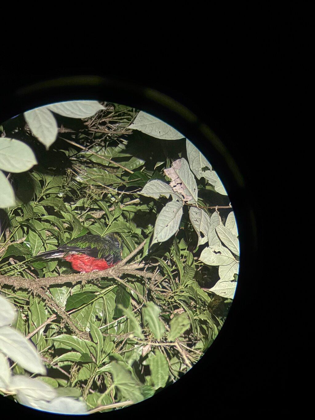 Review photo