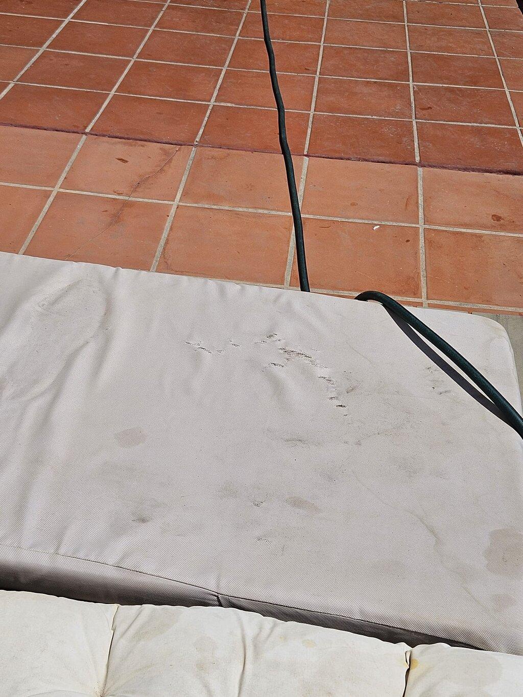Review photo