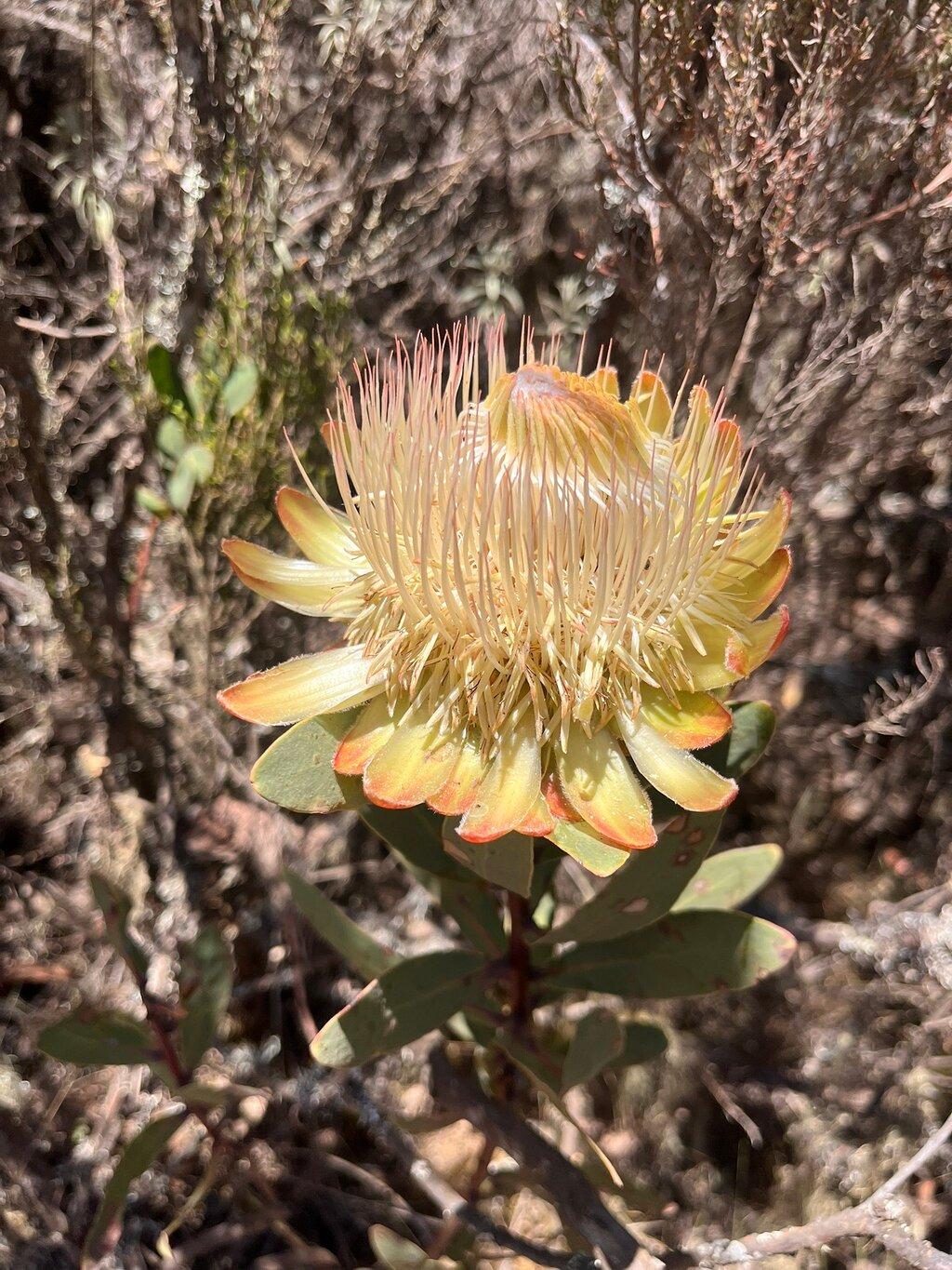 Review photo